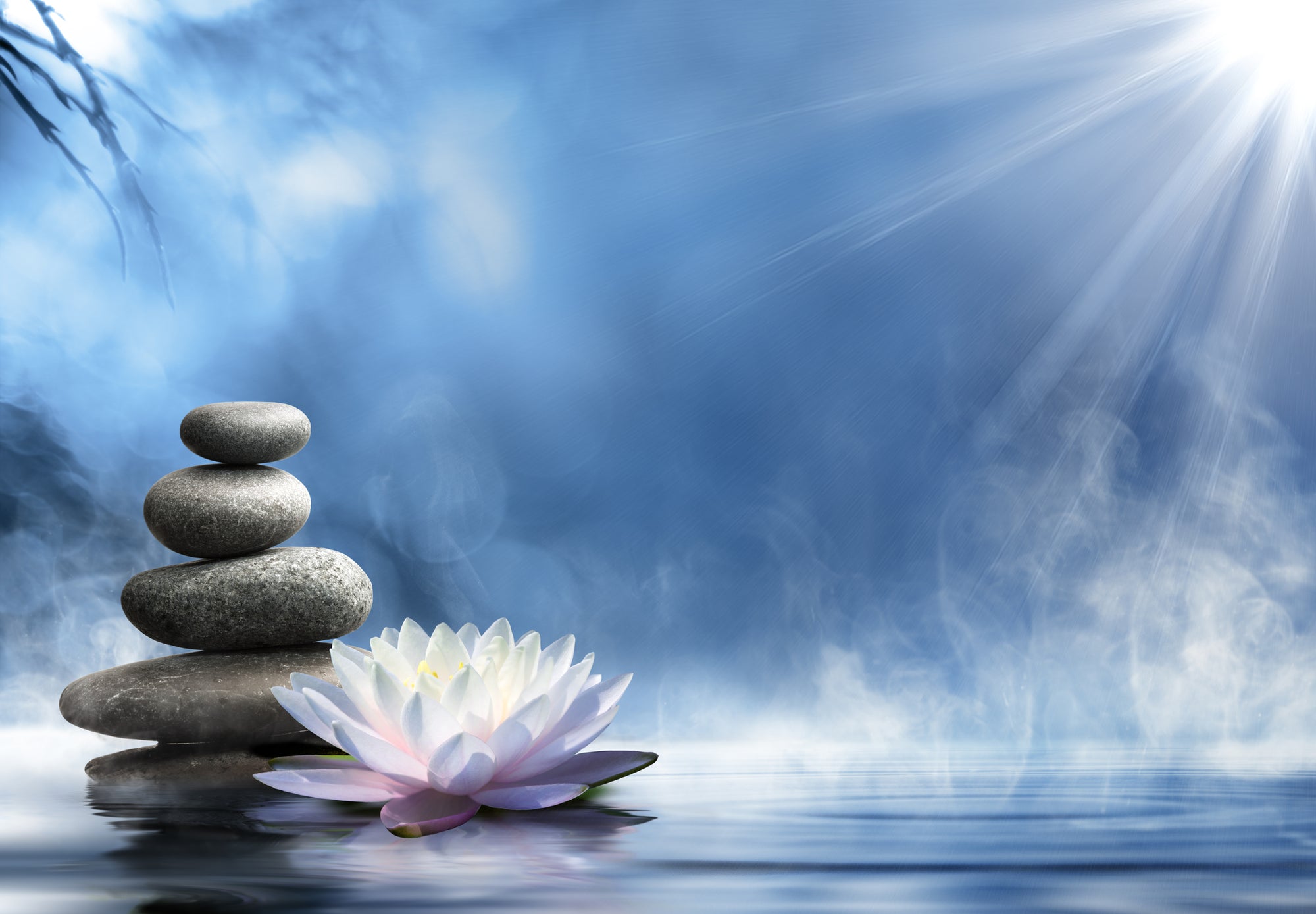 Zen image balancing stones and lotus flower