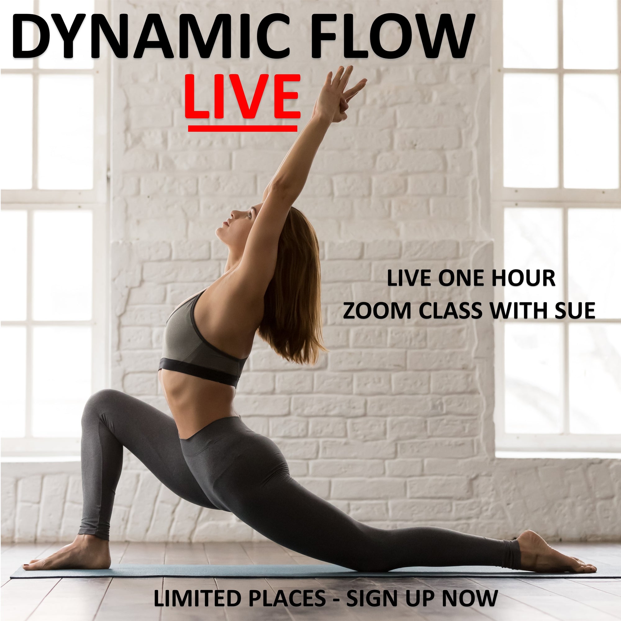 Dynamic Flow and Release Live Zoom Class