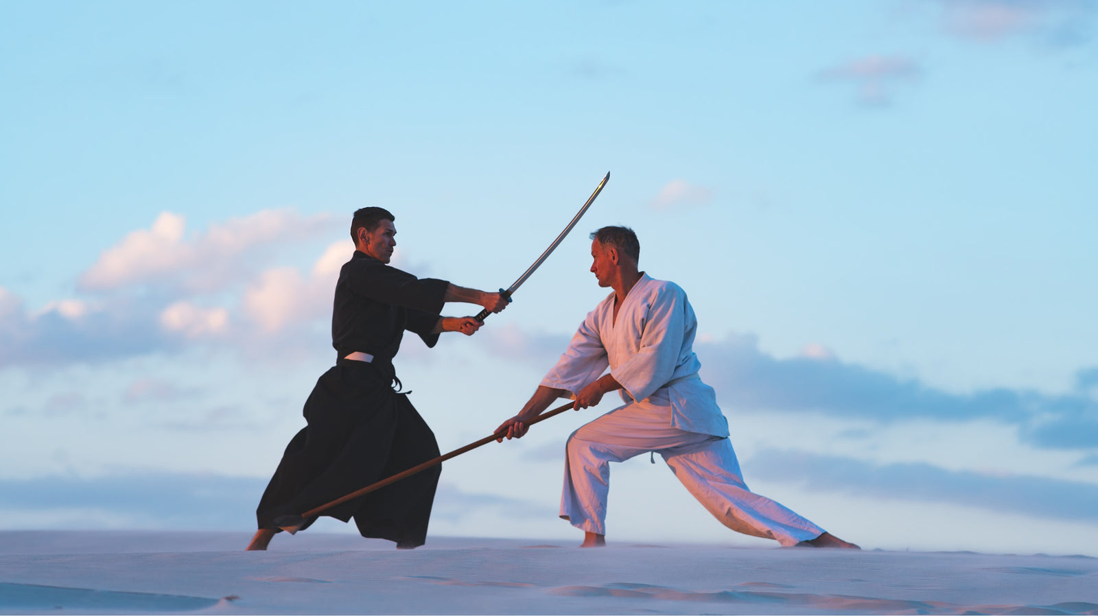 two martial artists with swords