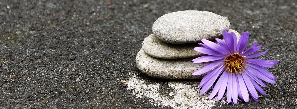 Stones and Flower