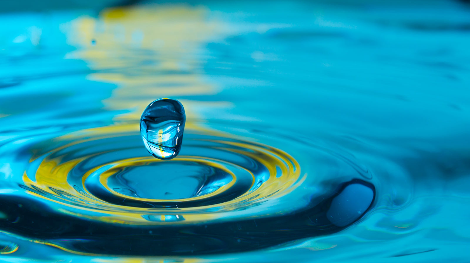 Drop of water magnified 