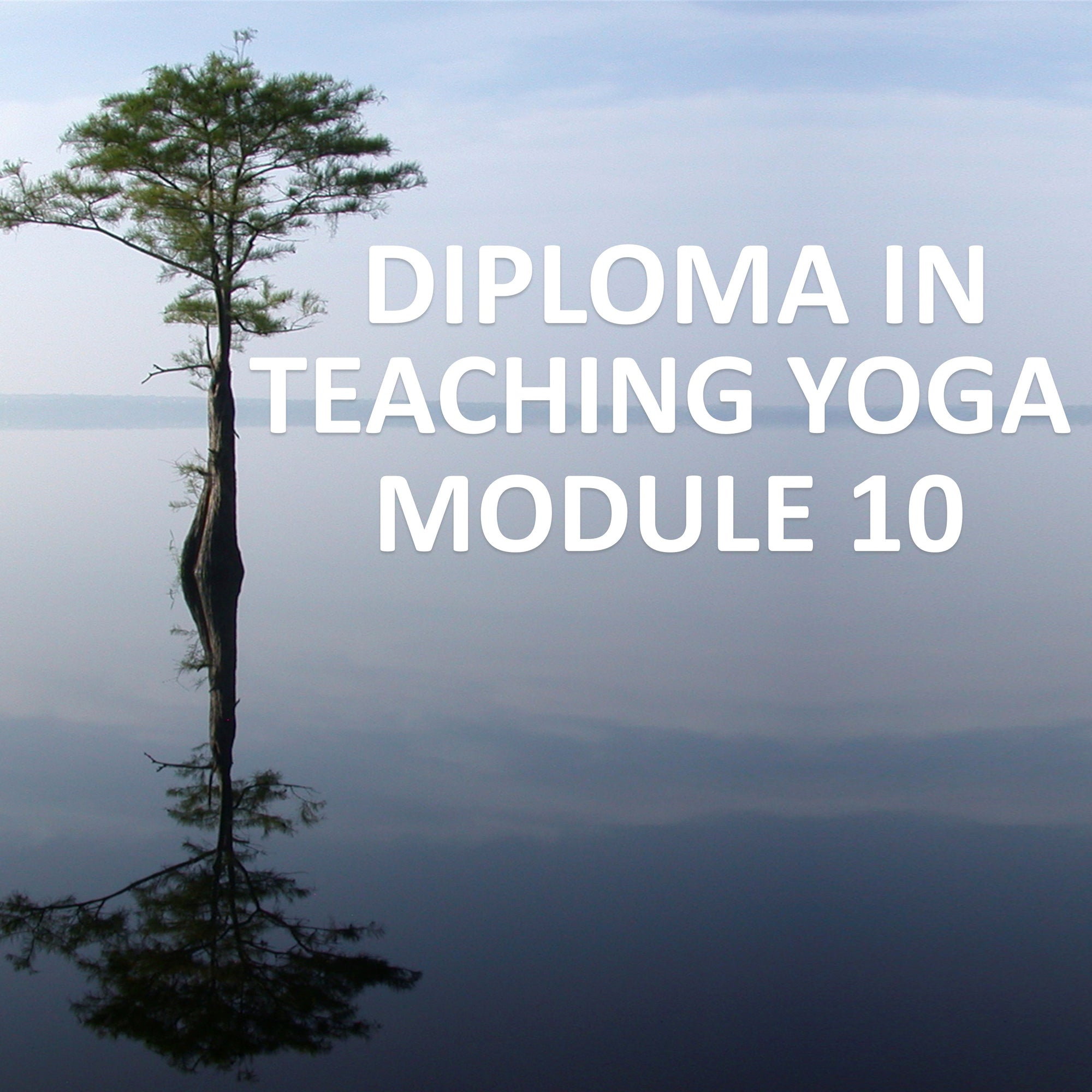 Diploma in Teaching Yoga Module 10