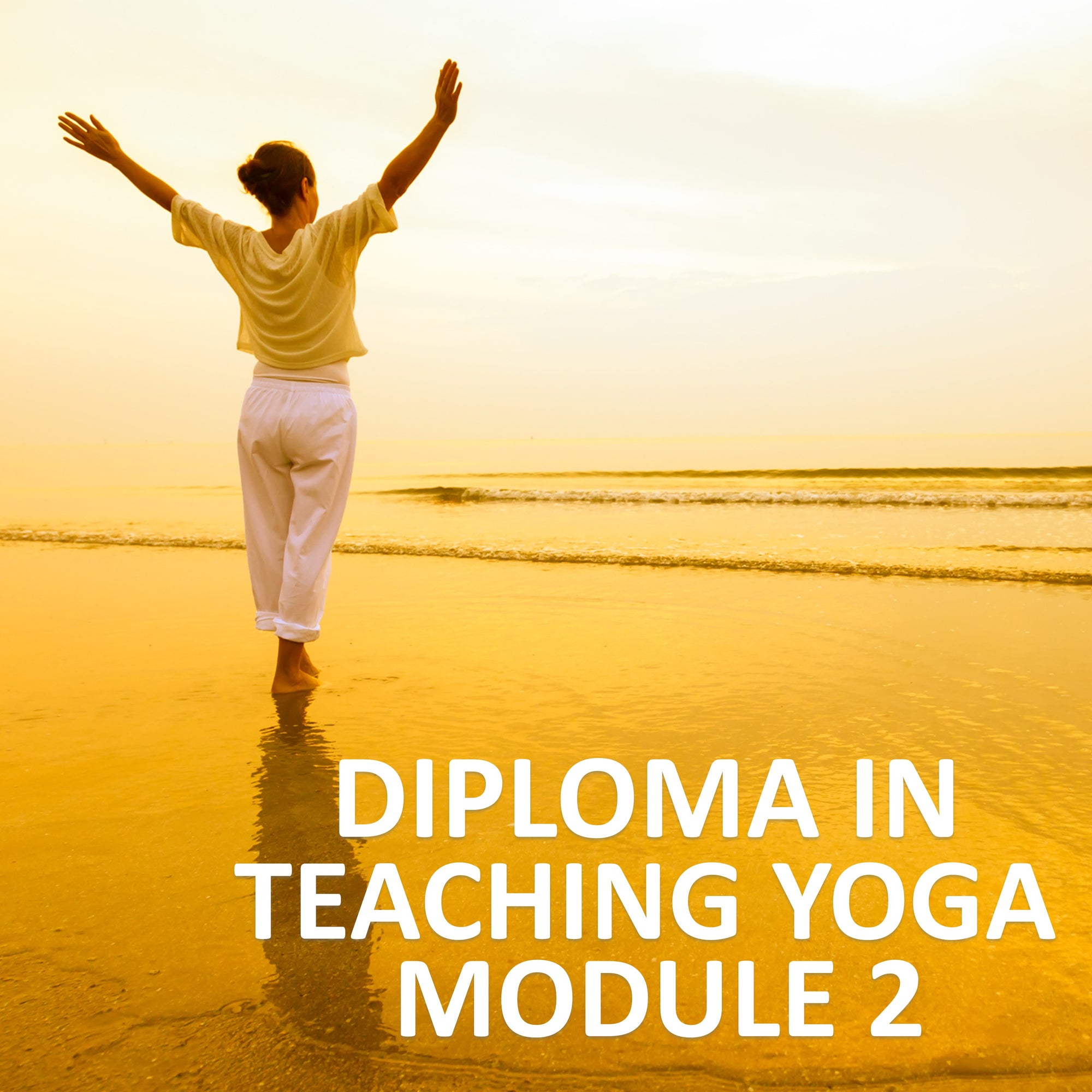 Diploma in Teaching Yoga Module 2