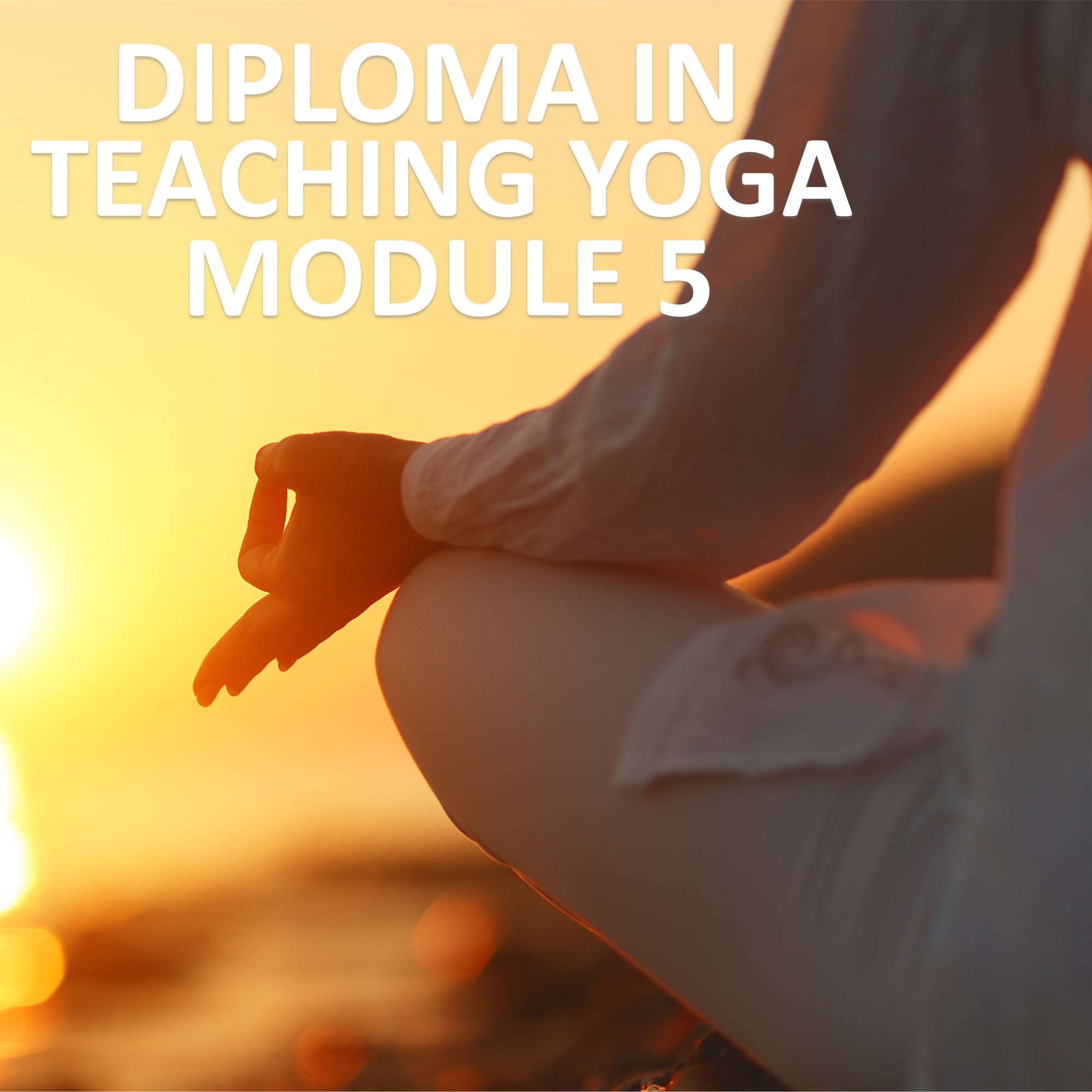 Diploma in Teaching Yoga Module 5