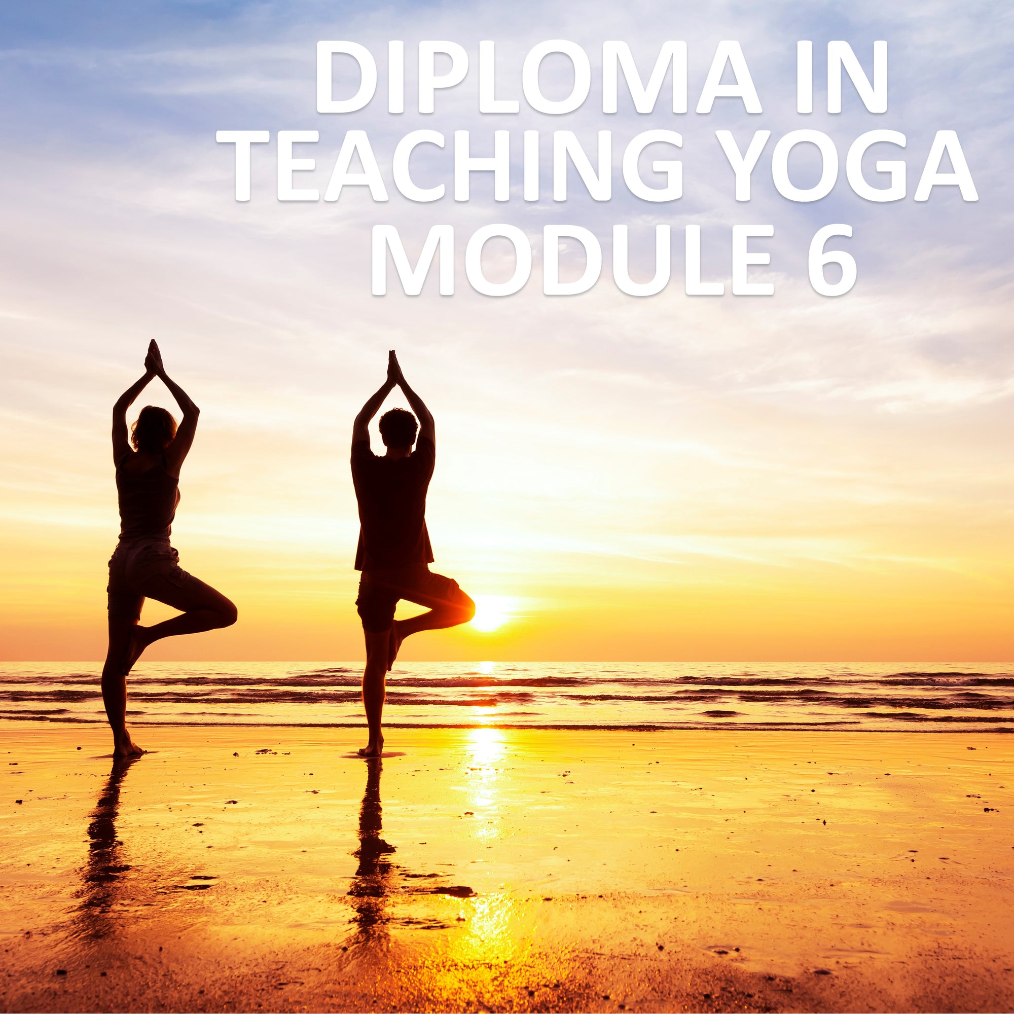 Diploma in Teaching Yoga Module 6