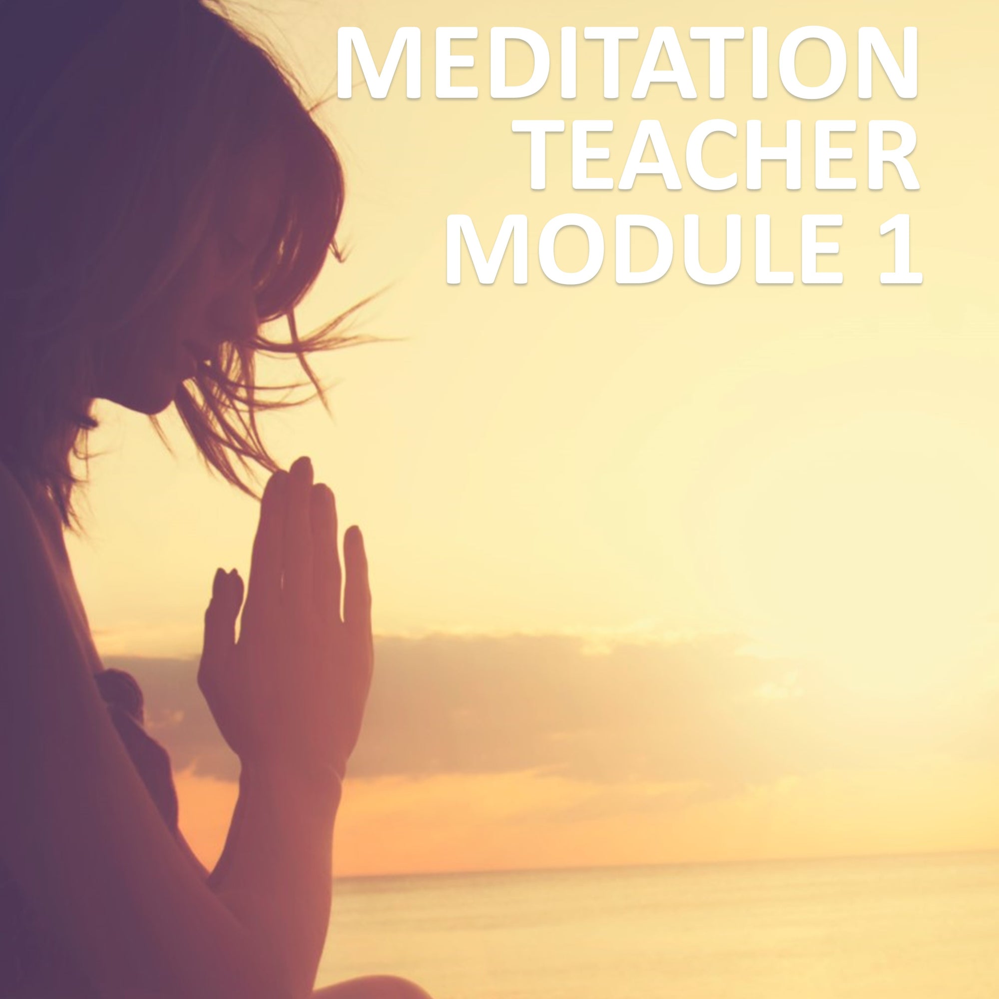 Meditation Teacher Module 1