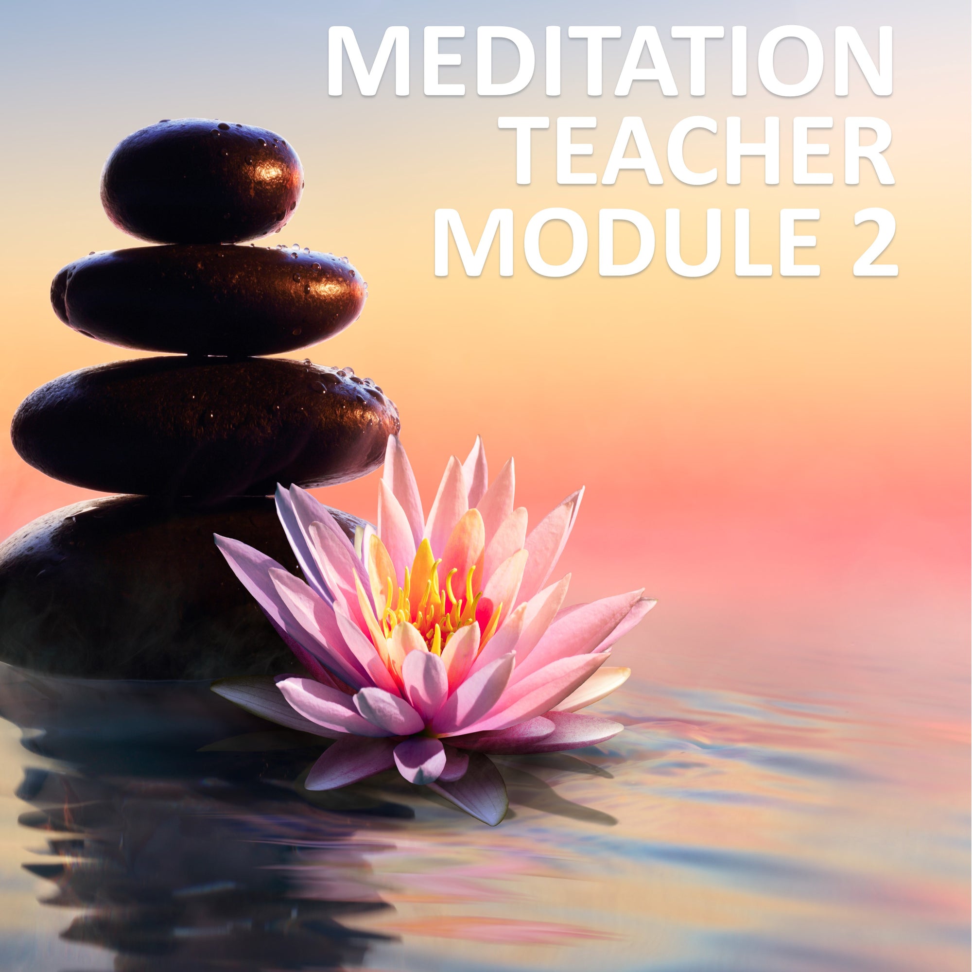 Meditation Teacher Module 2