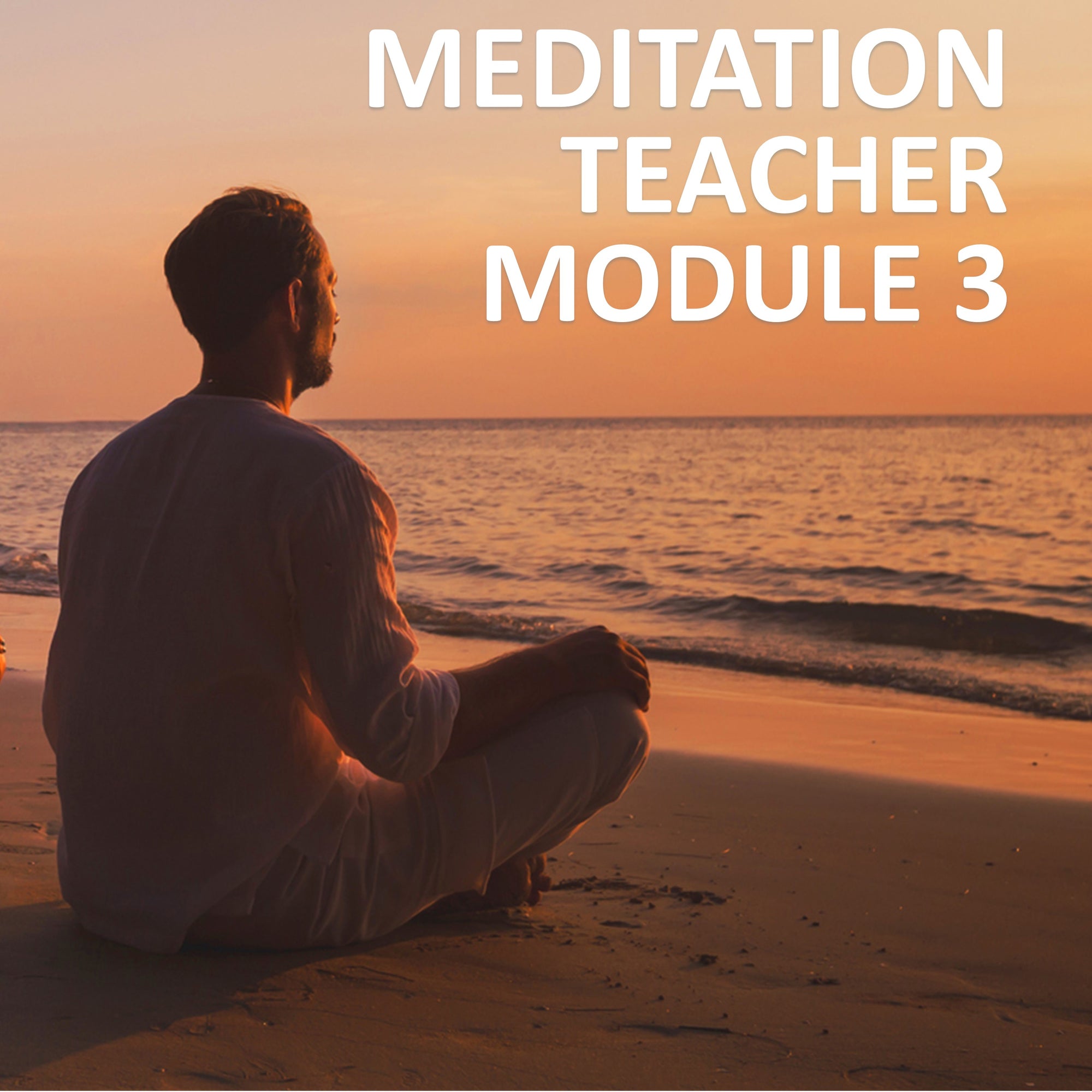 Meditation Teacher Module 3