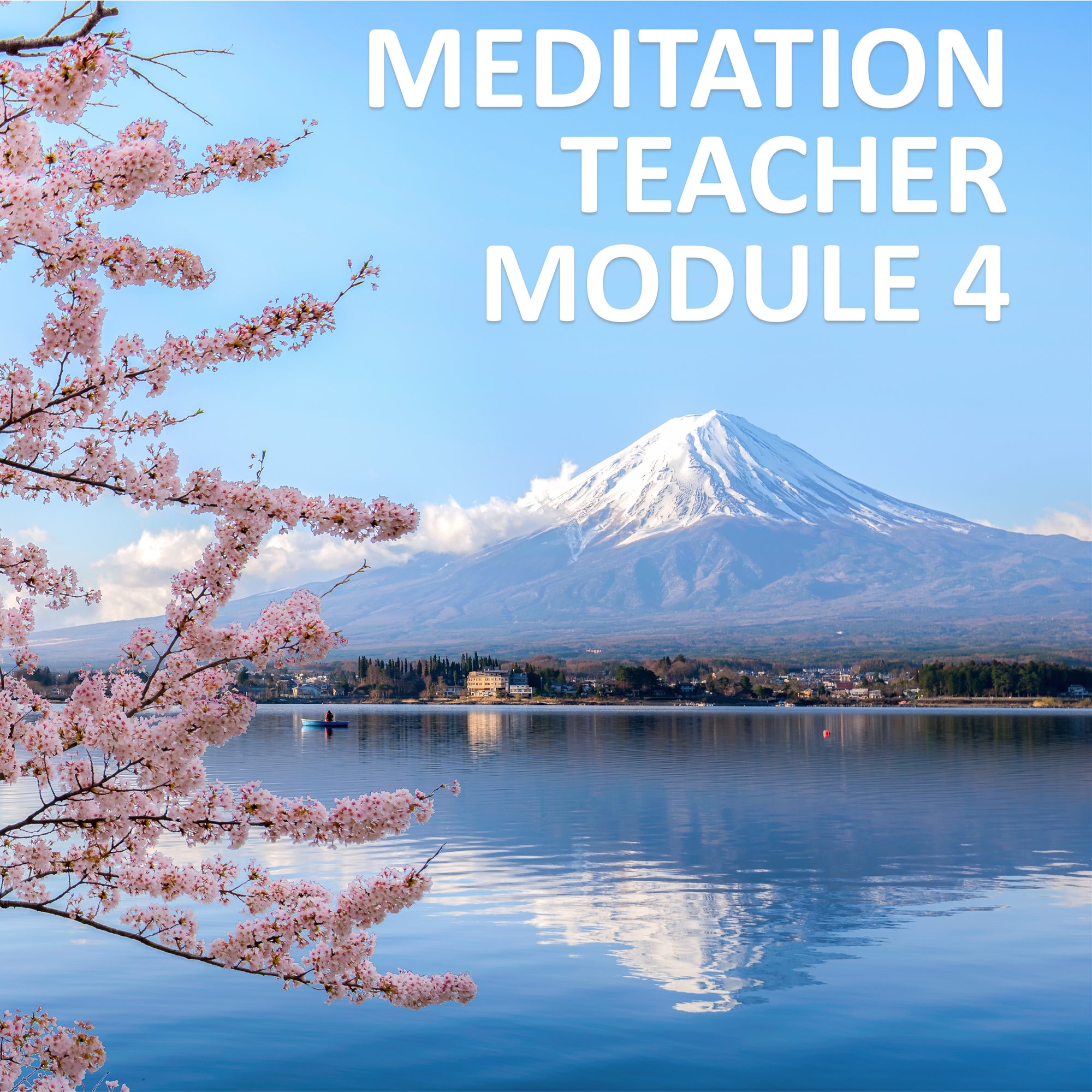 Meditation Teacher Module 4
