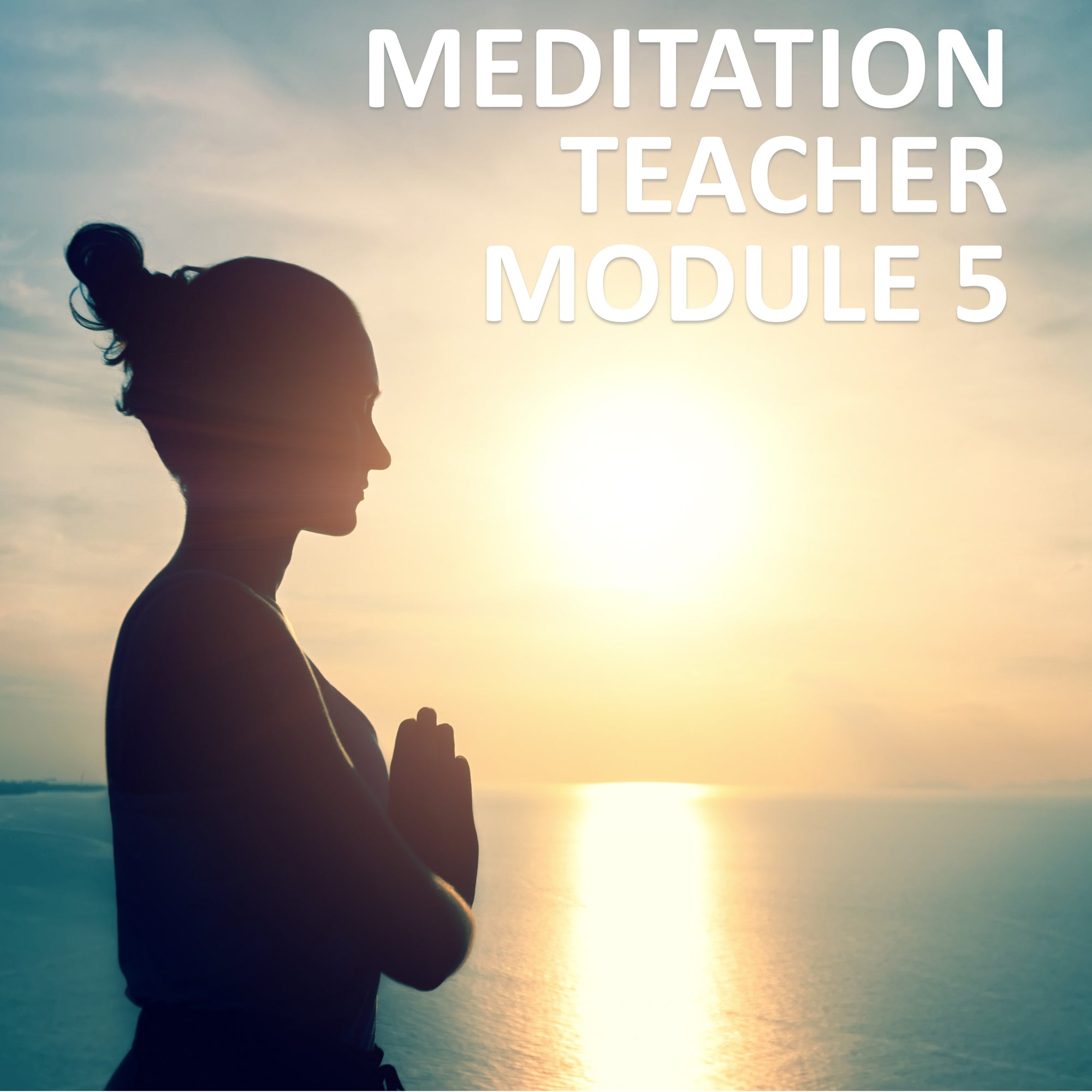 Meditation Teacher Module 5