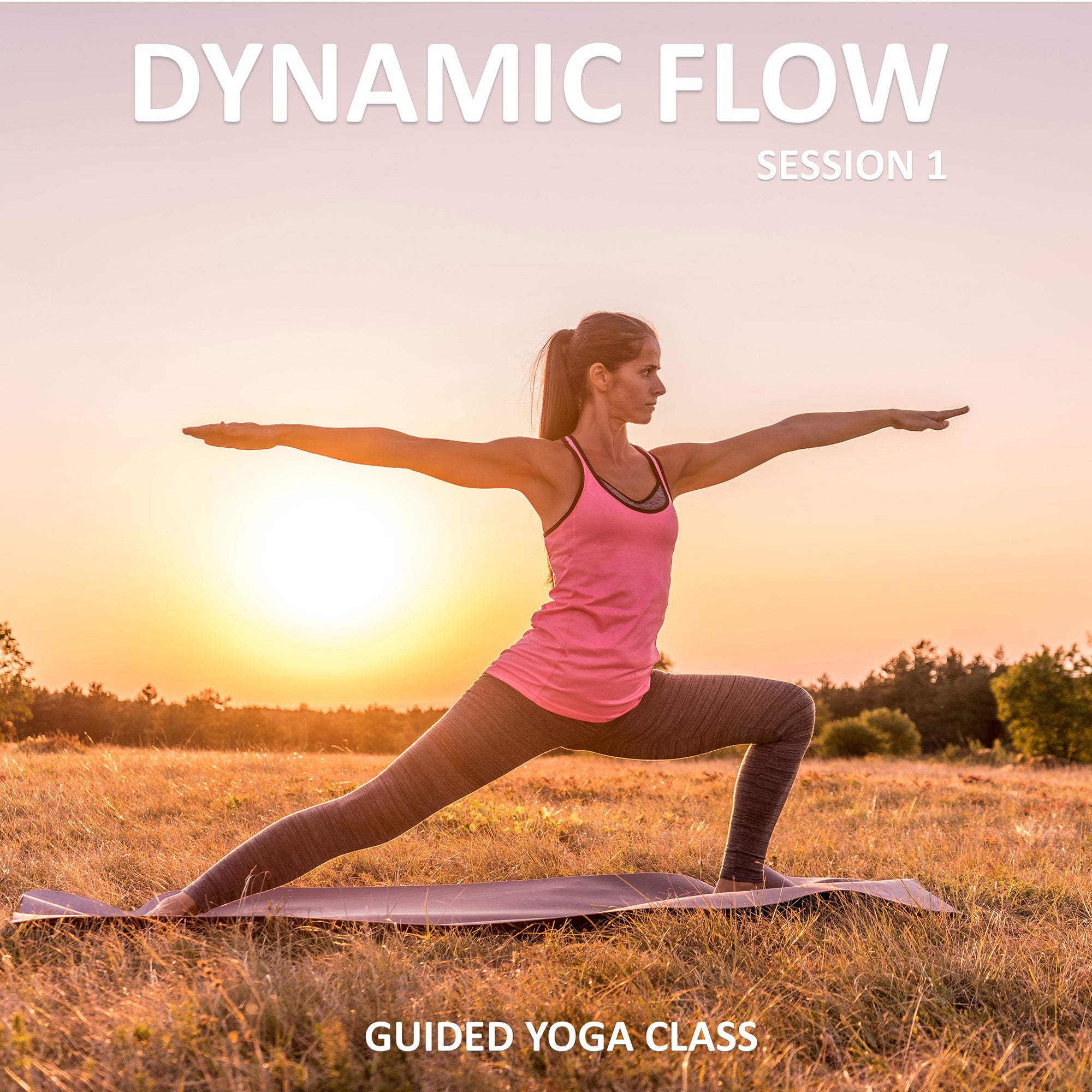 Dynamic Flow Audio Yoga Session 1