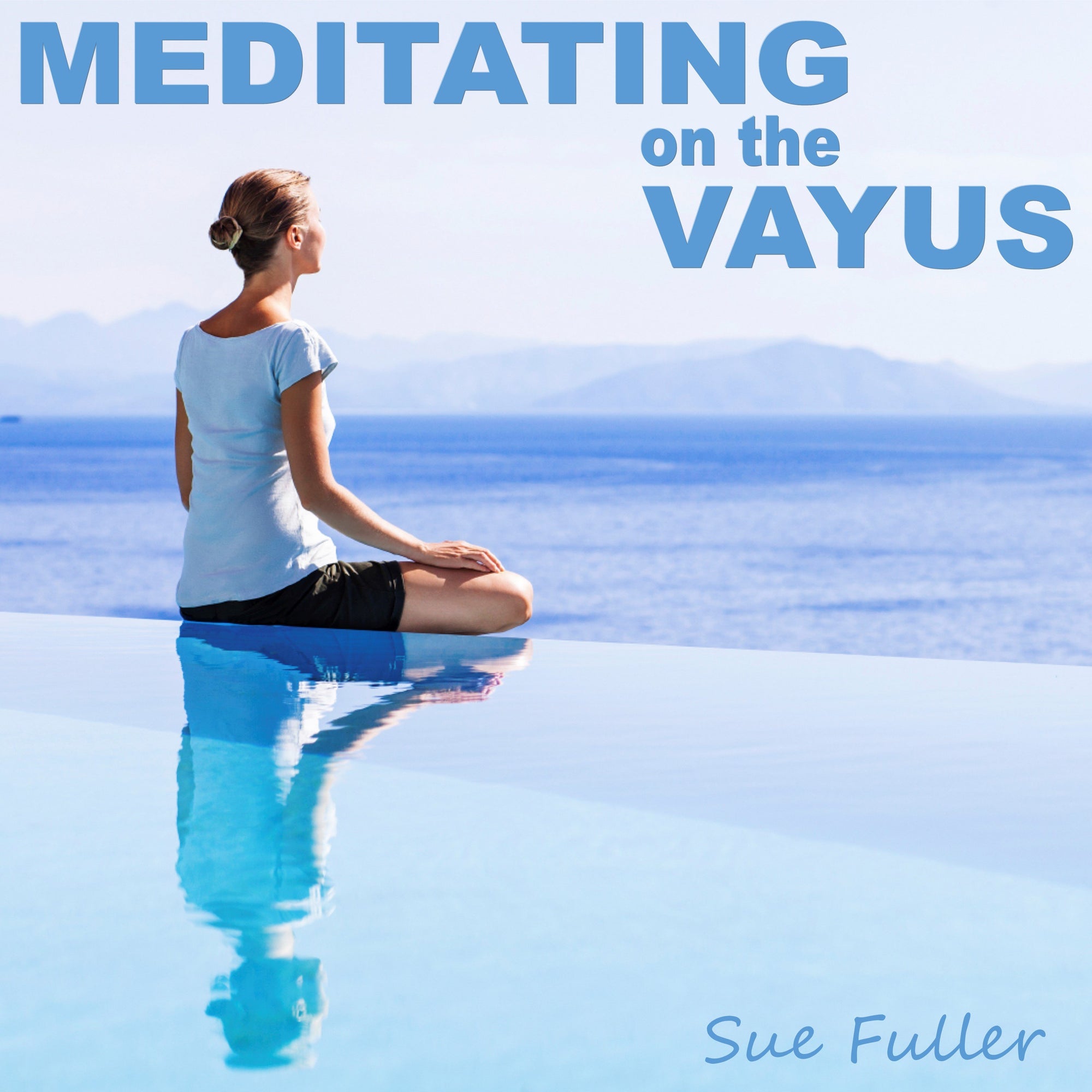 Meditating on the Vayus