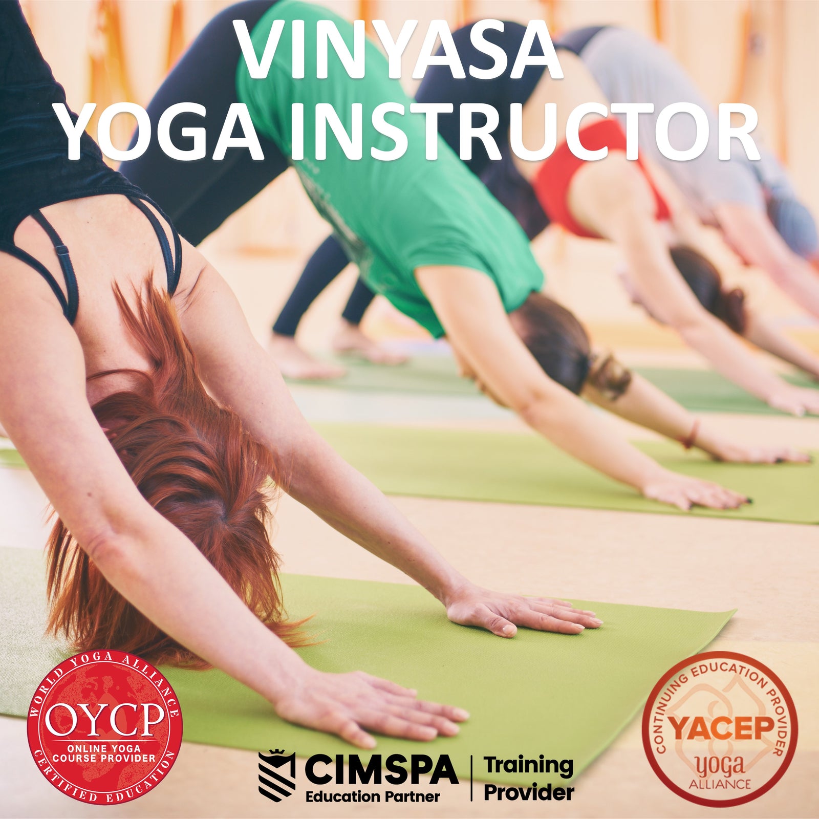 Vinyasa Yoga Instructor