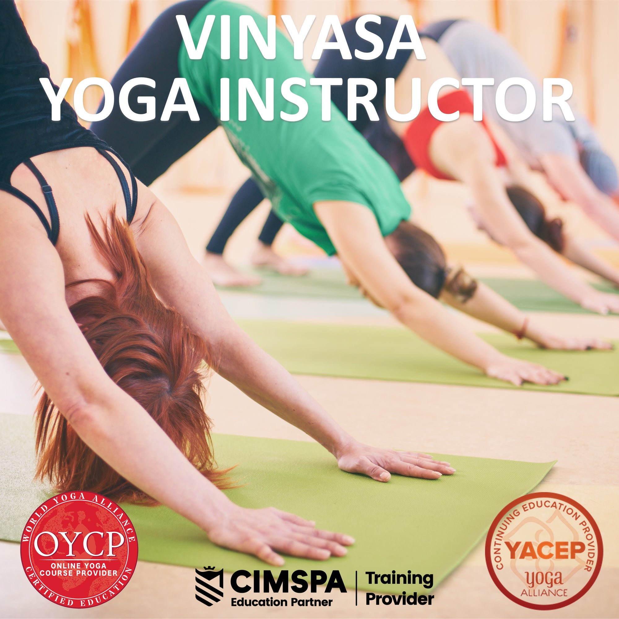 Vinyasa Yoga Instructor
