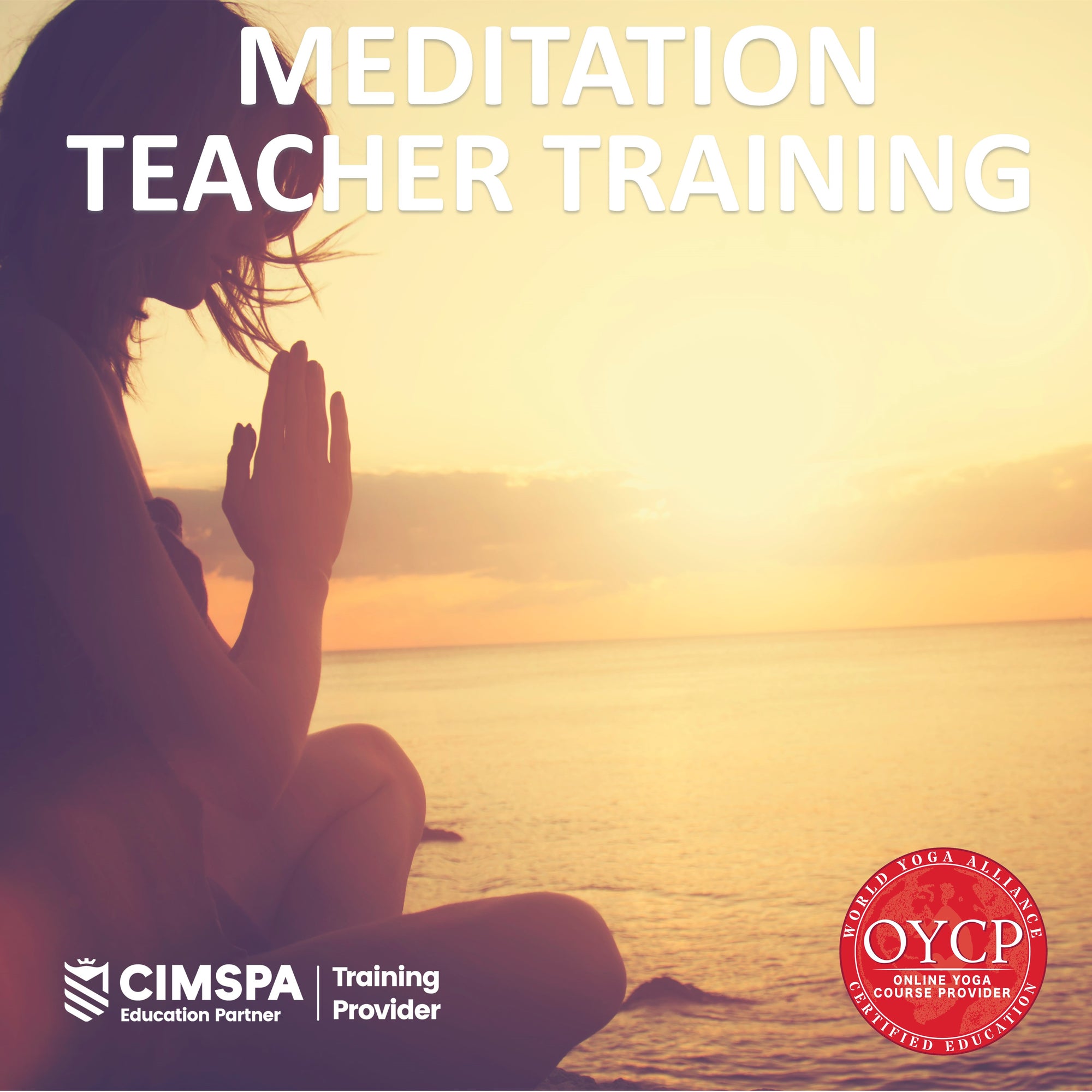 Meditation Teacher Training